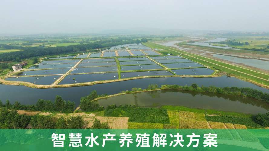 物联网水产养殖 智能控制系统-南京及时雨农业科技