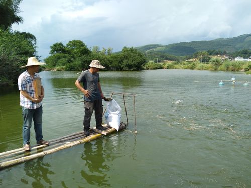 象州县:推进水产养殖用药减量行动,提升水产品质量安全水平_来宾_广西