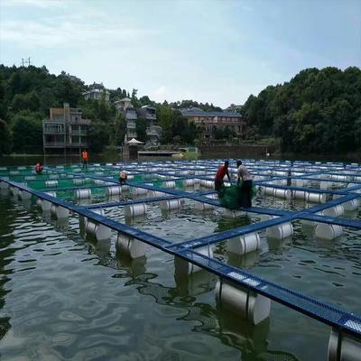 石斑鱼养殖网箱 尼龙网箱水产养殖 福利 泥鳅黄鳝养殖网箱